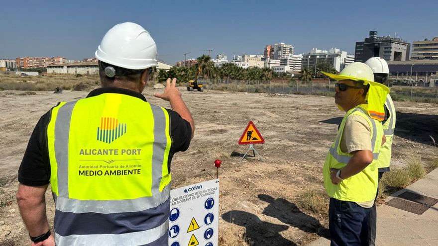 Operación descontaminación en el puerto de Alicante