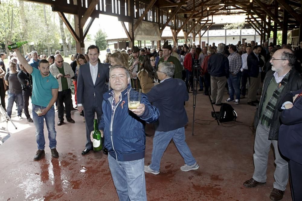 Presentación de la cosecha 2015 de sidra