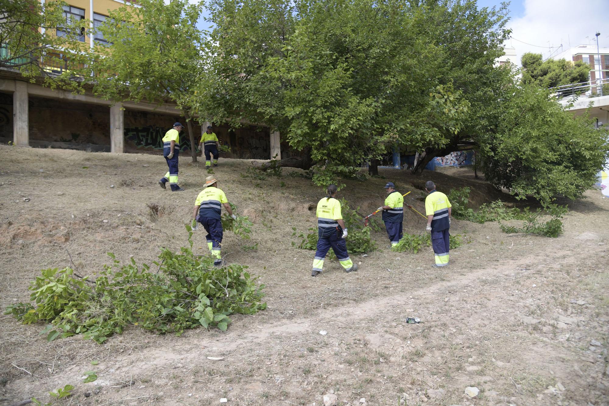 Paiporta lleva a cabo la limpieza anual del barranco