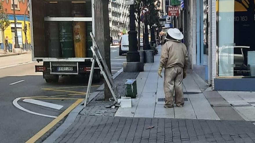 Alarma en Oviedo al detectarse &quot;cientos de abejas&quot; saliendo de una alcantarilla