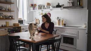 Interior d’un pis de lloguer de la Borsa d’Habitatge de Lloguer.