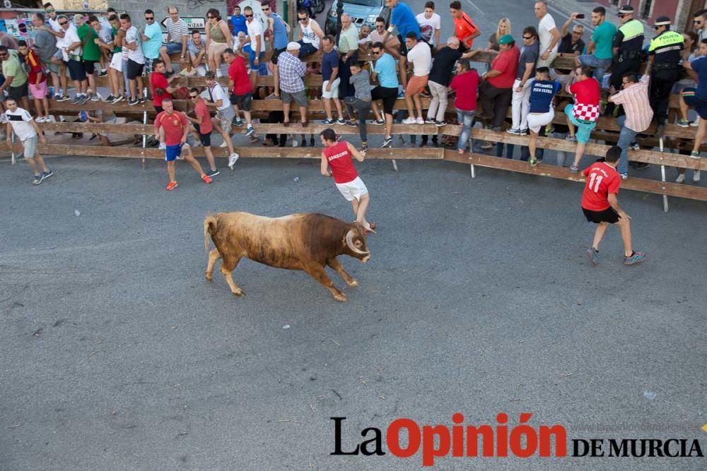 Suelta de toros en Moratalla