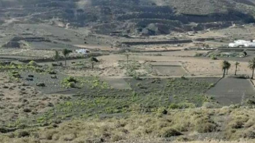 Terrenos y parcelas en venta en Las Palmas.