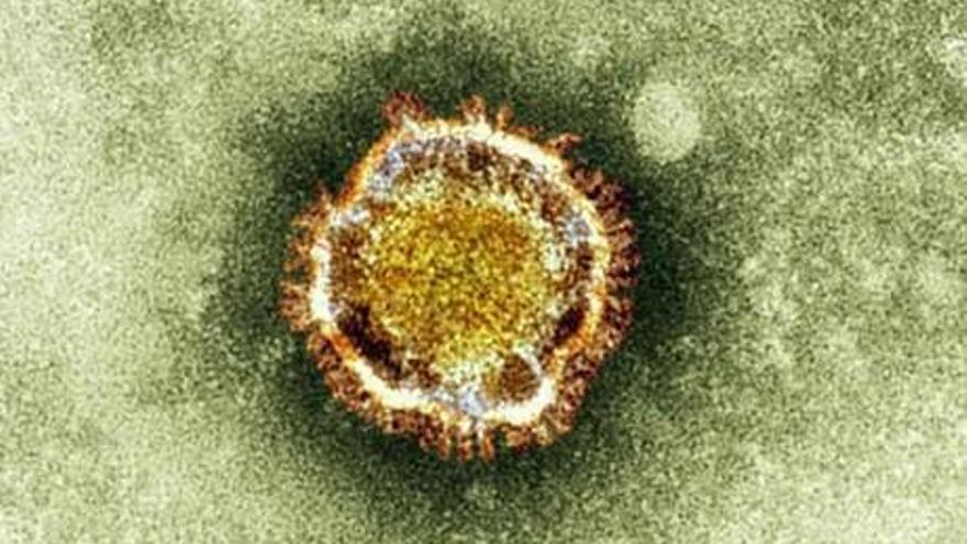 Sanidad informa de dos posibles casos en España de coronavirus