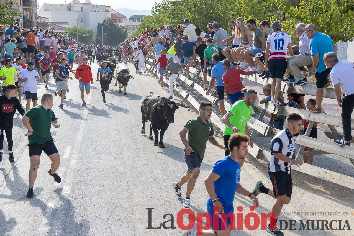 Sexto y último encierro de la Feria Taurina del Arroz en Calasparra