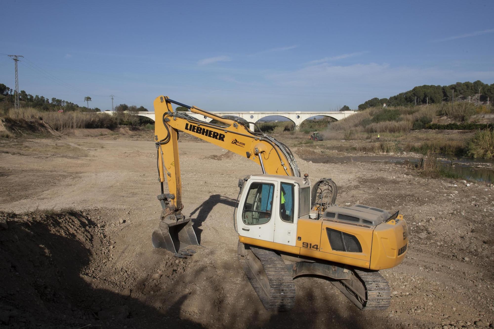 Recuperación del bosque de ribera en el río Albaida