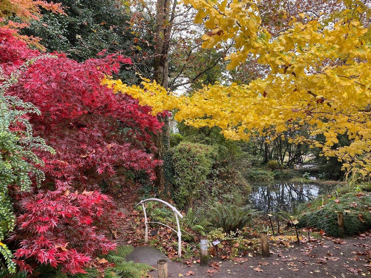 Jardín Botánico Atlántico de Gijón