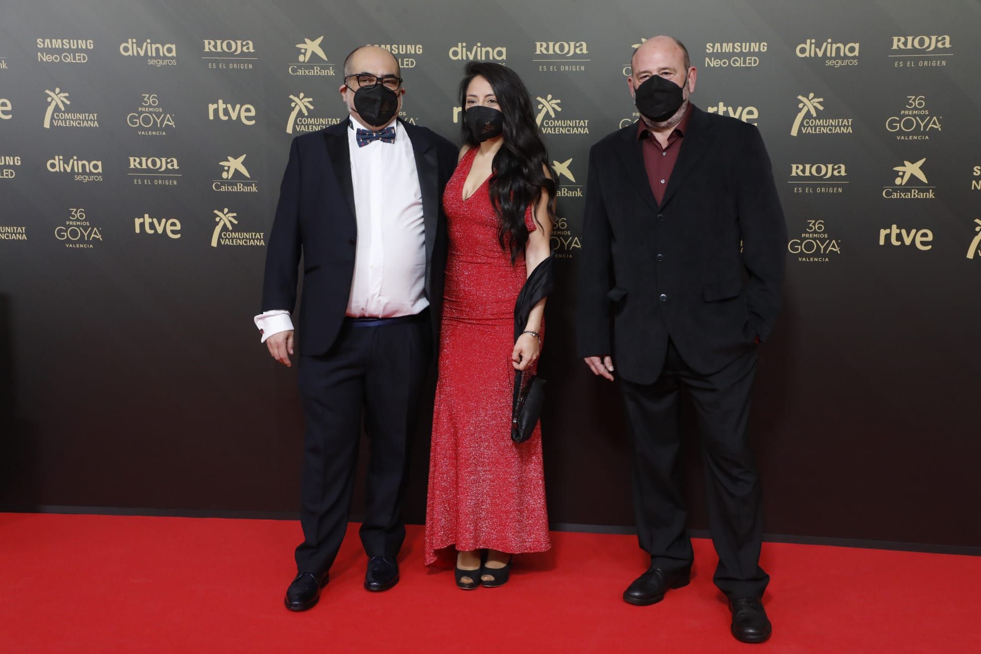 Todas las imágenes de la alfombra roja de los Premios Goya en València