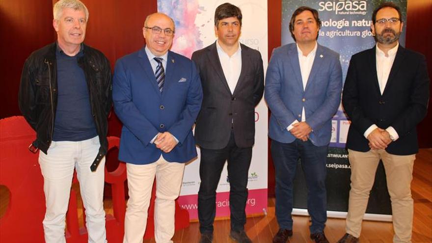 Ecoracimo convertirá Montilla en capital del vino