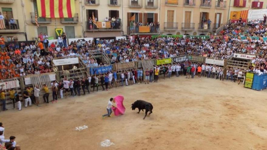 Una imatge del corre de bou de l&#039;any passat