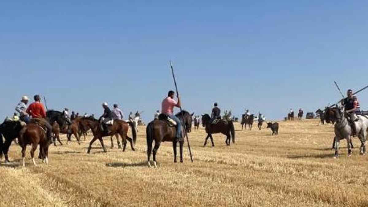 Encierro campero en la pasada edición.