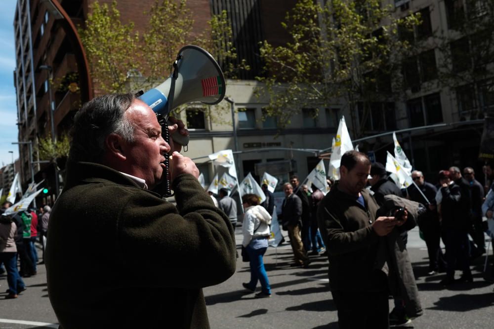 La Alianza se manifiesta en contra del lobo