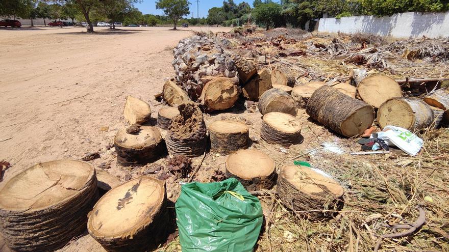 Vecinos de la Cañada Real urgen la retirada de toneladas de vertidos ilegales en su zona