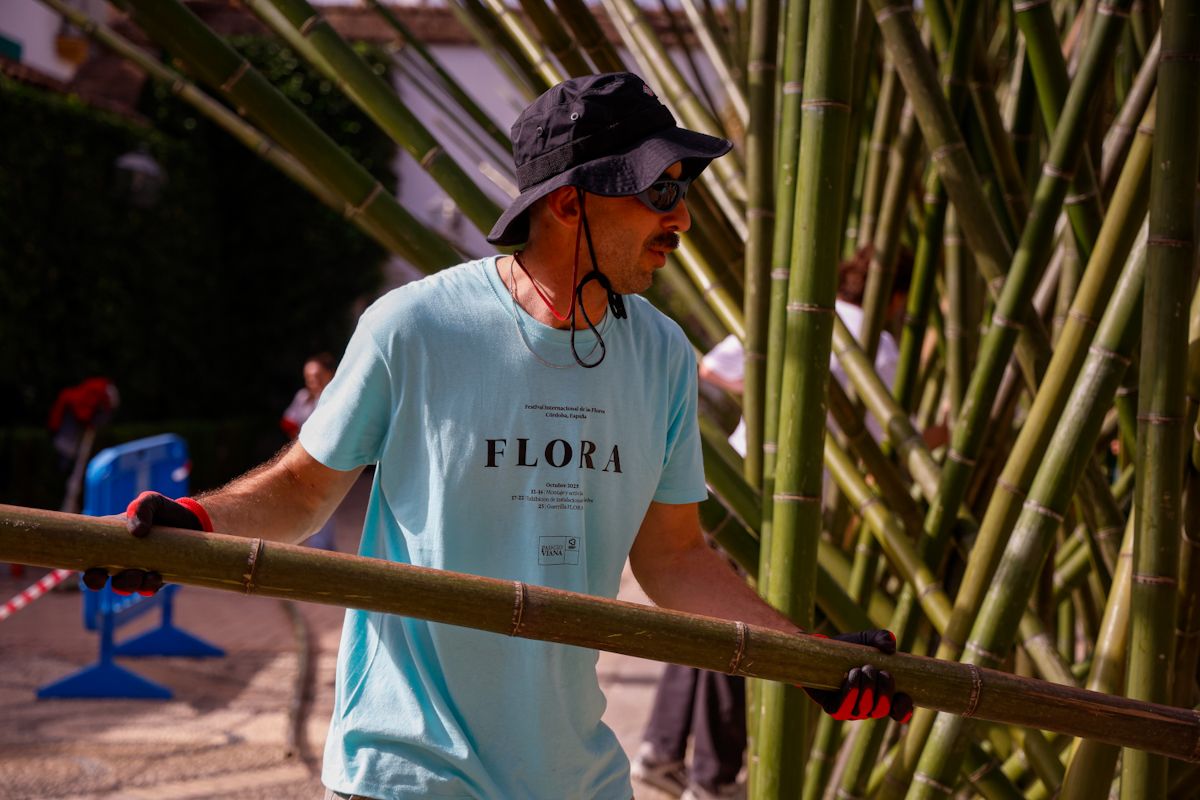 Comienza el montaje de las instalaciones de Flora 2025