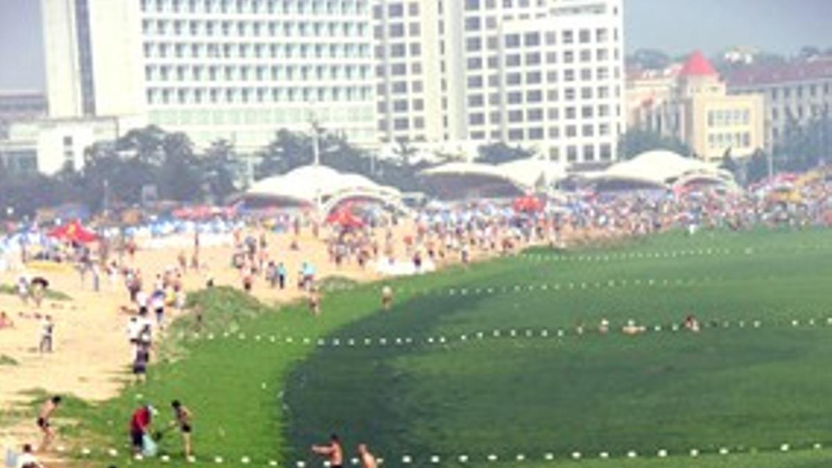 La playa verde de Quingdao en el Mar Amarillo.