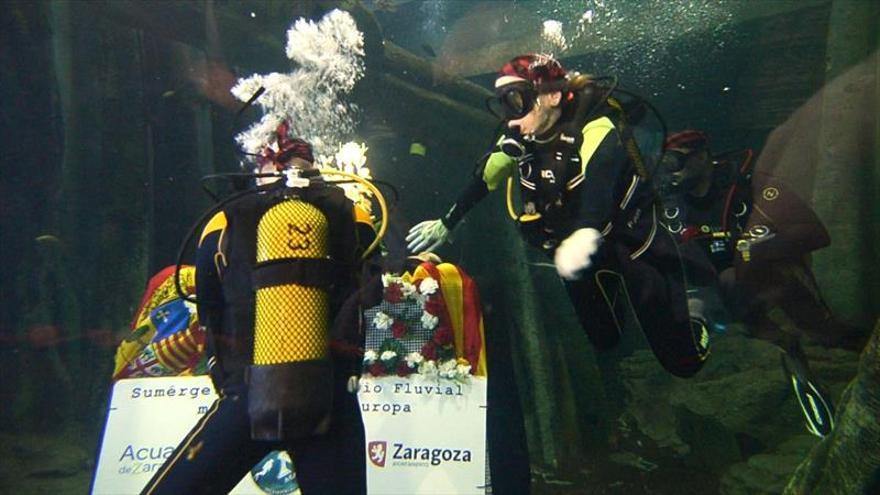 Programa especial en Aragón TV Ofrenda floral en el Acuario