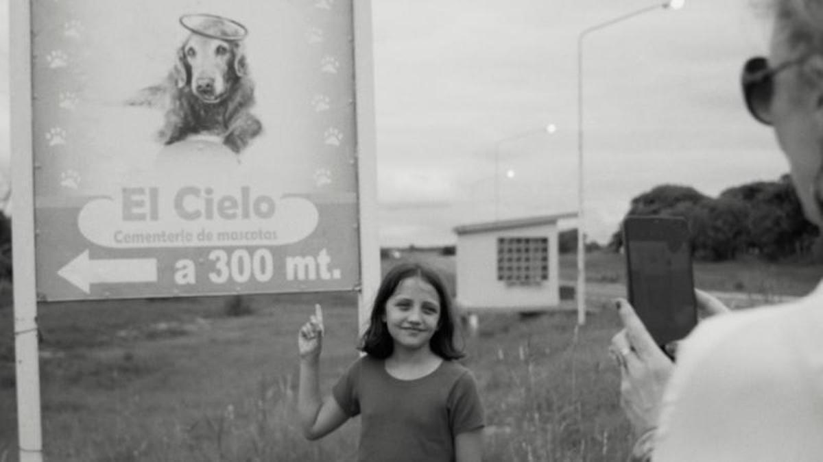 Una película tan áspera como entrañable, extraña y divertida, sobre una niña que tiene el don de comunicarse con las mascotas muertas