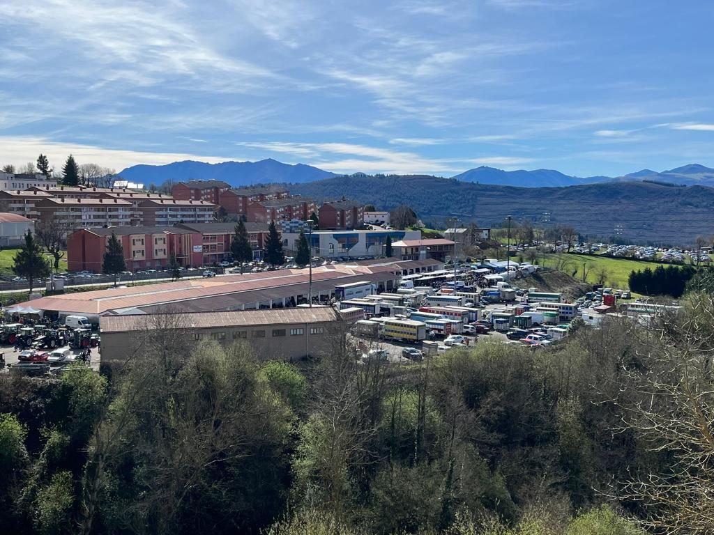 Tineo disfruta la feria ganadera de San José