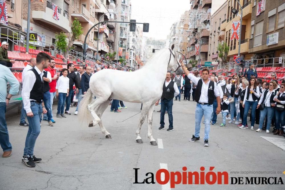 Caballos del Vino: Concurso morfológico (salida Pl