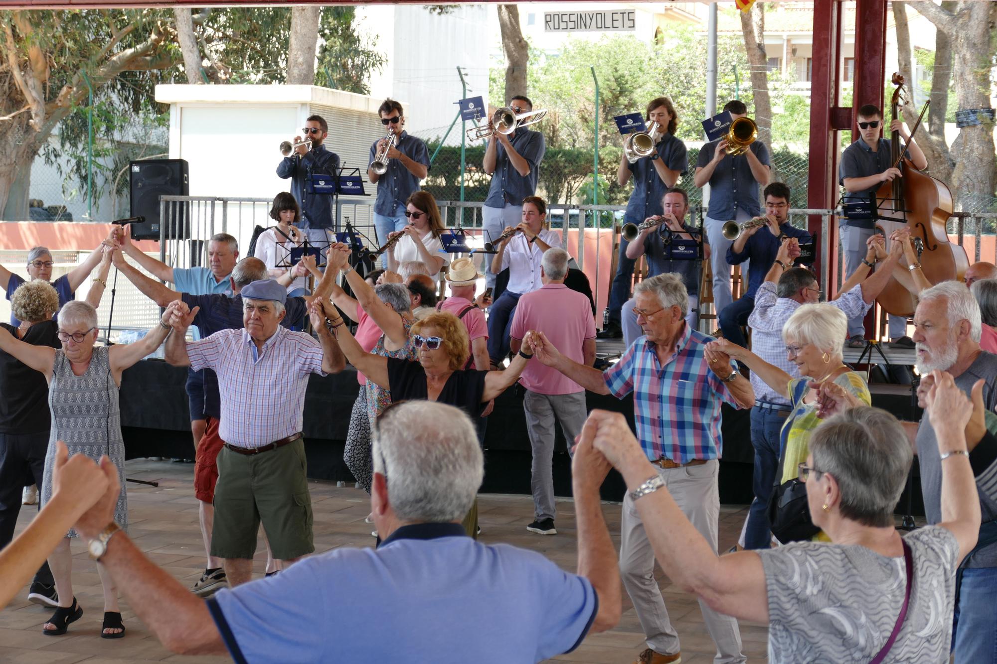 Les sardanes ressonen en el quaranta-vuitè aplec de la sardana