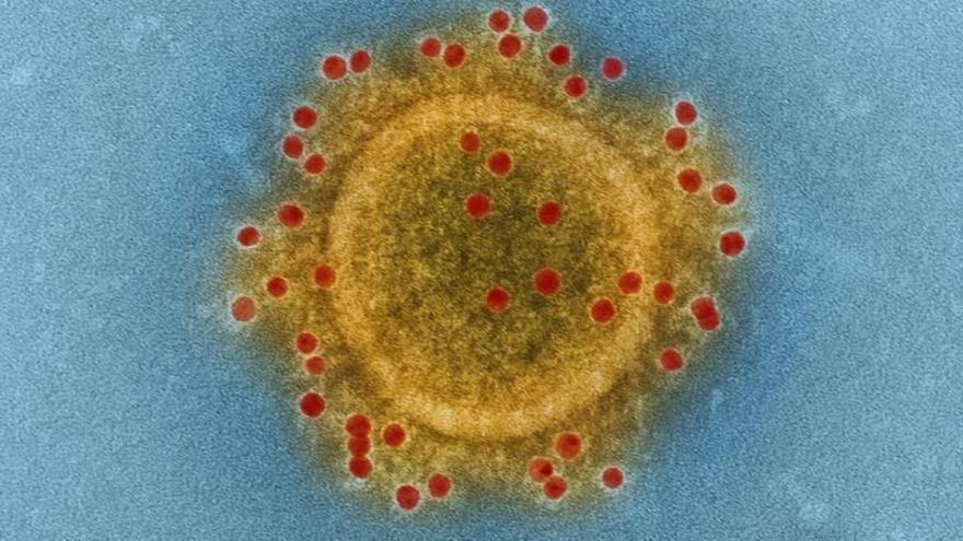 Imatge d&#039;un coronavirus