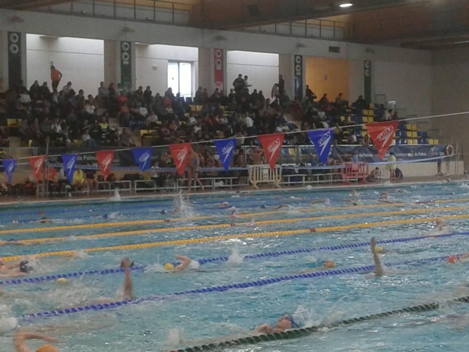 Trofeo Sant Sebastià de natación