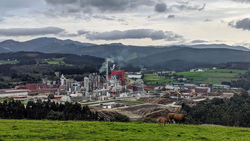 La fábrica de Ence en Navia. |