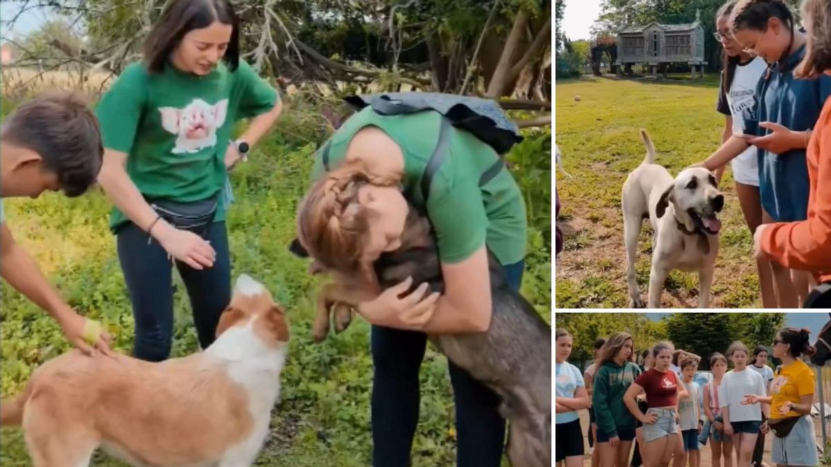 La visita del alumnado de A Guarda a La Isla de Tali