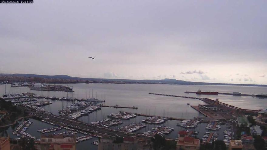 Bedeckter Himmel am Montagvormittag (16.3.) über Palma
