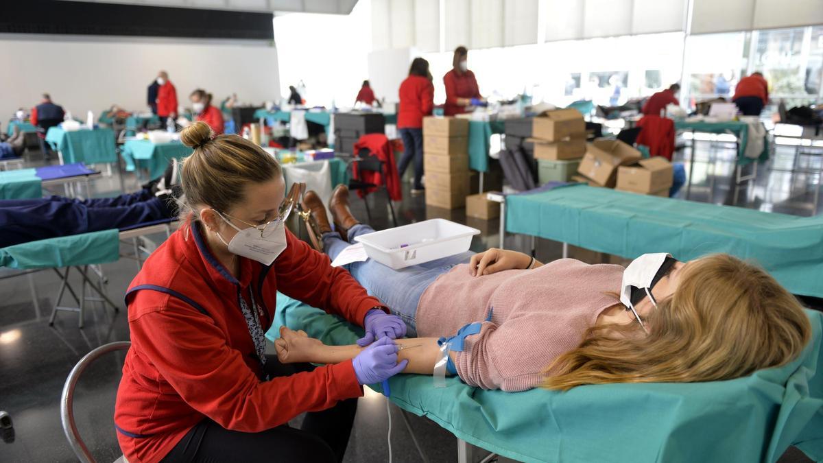 Extracción de sangre en el evento de donación que tiene lugar hoy en el Centro de Congresos de Elche