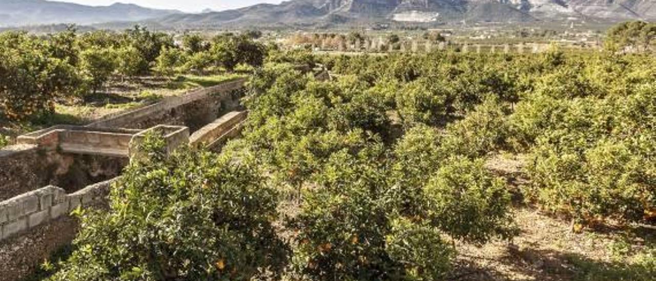 Gandia instala filtros en las potabilizadoras de agua al hallar niveles bajos de herbicidas