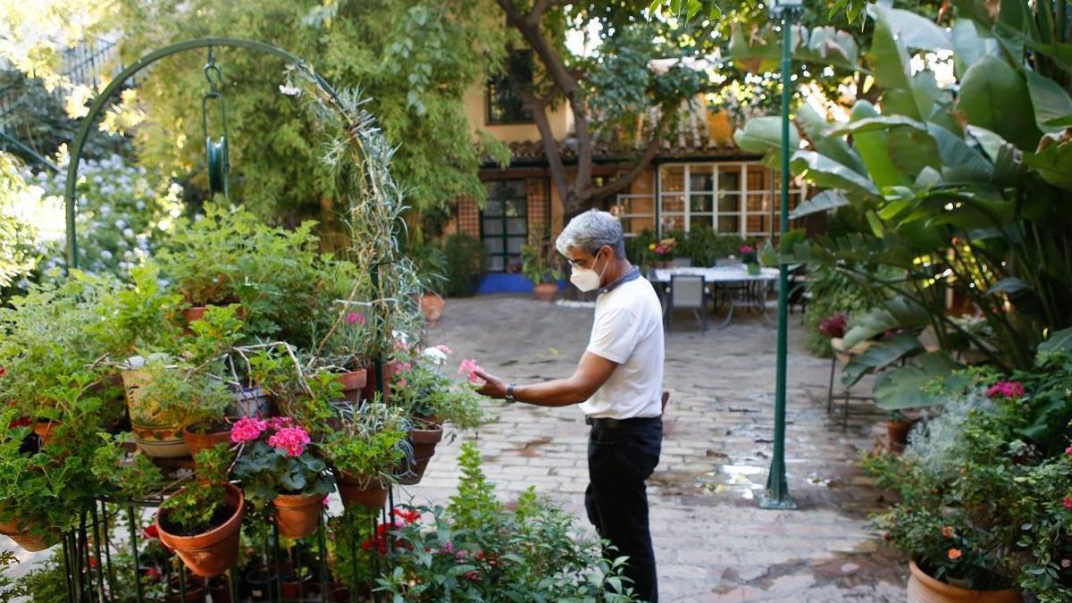 Los Patios se llevan el protagonismo en este puente