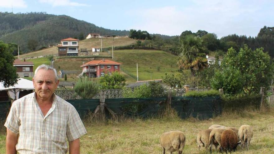 Miguel Martínez con sus ovejas al fondo.