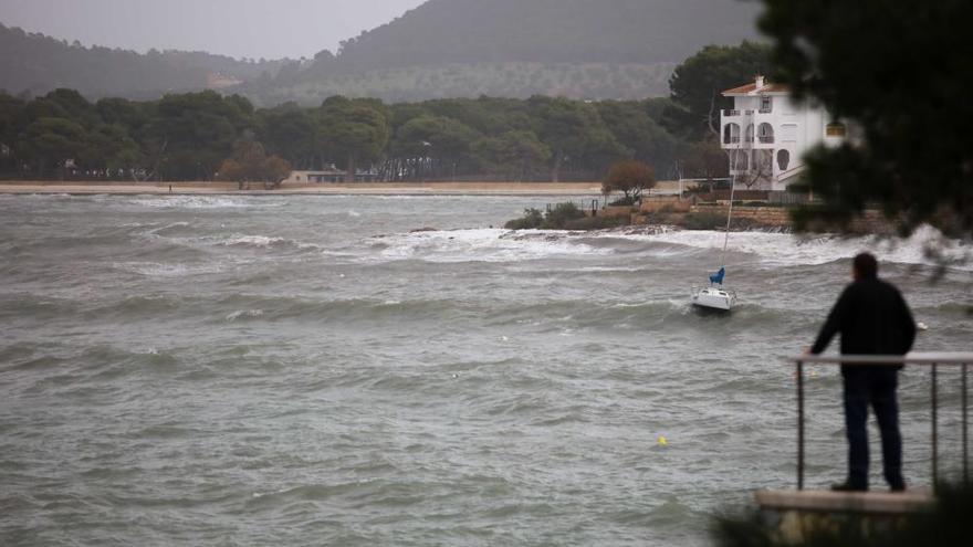 Búsqueda por la costa del joven  desaparecido en Santa Ponça