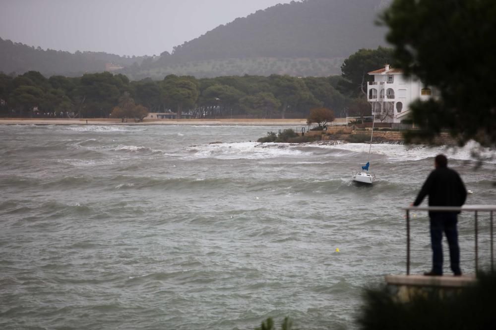 Búsqueda por la costa del joven  desaparecido en Santa Ponça