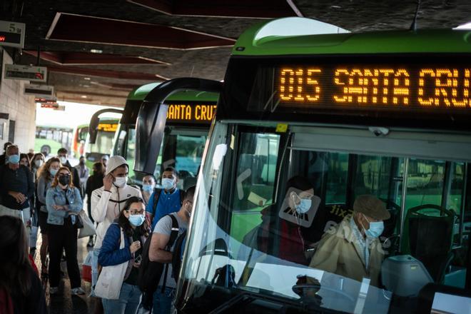 Puesta en marcha de la gratuidad del transporte público.