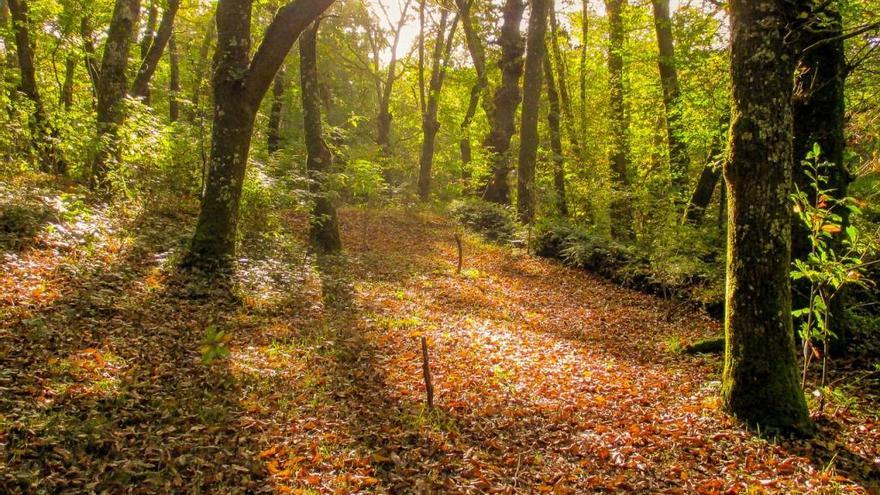 Fragas en Galicia.