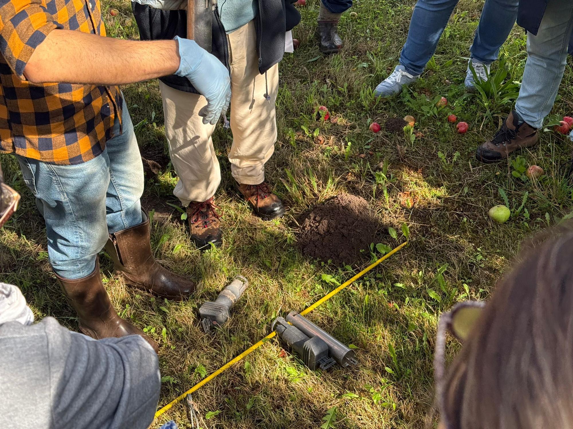 El SERIDA explica sobre el terreno las medidas de protección contra las plagas de roedores en pomaradas