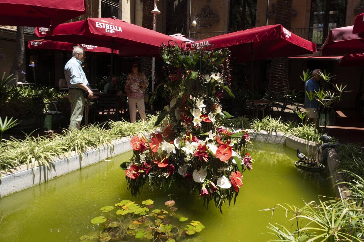 Barcelona 20/06/2025 Lou com balla, ahora con agua nuevamente. en la foto, jardines del Ateneu Barcelonés Fotografía de Ferran Nadeu