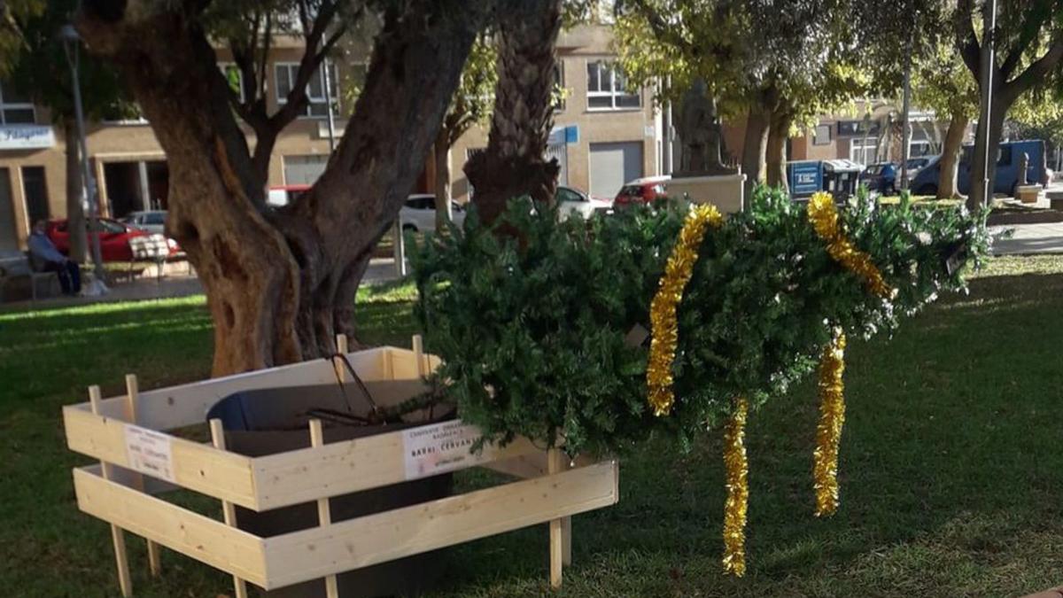 Imagen del árbol que unos vándalos tiraron y desvalijaron en la plaza del Alguer. | MEDITERRÁNEO