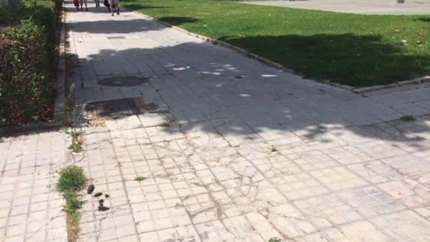 El PP de Alcoy pide la reparación urgente de las aceras de la Avenida de Andalucía