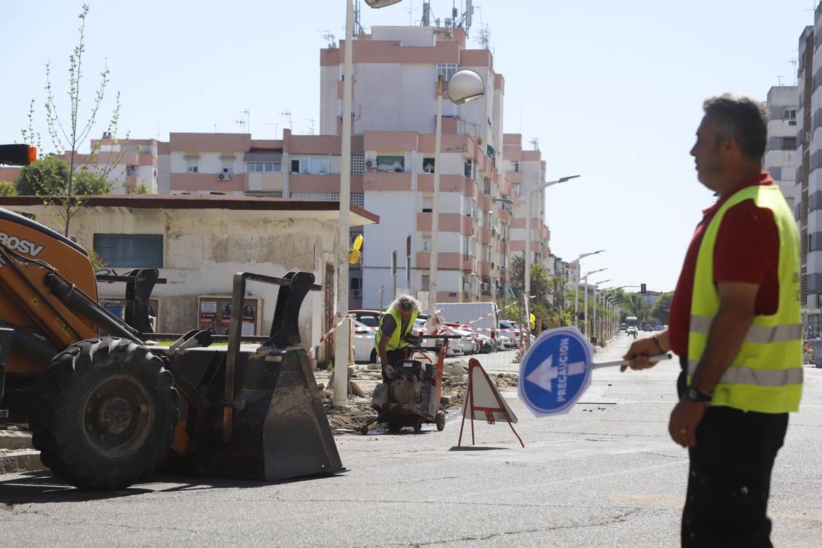 A.J.González Córdoba La obra de la avenida Virgen Milagrosa de Córdoba encara su recta final con la plantación de tipuanas en sustitución de los olmos enfermos