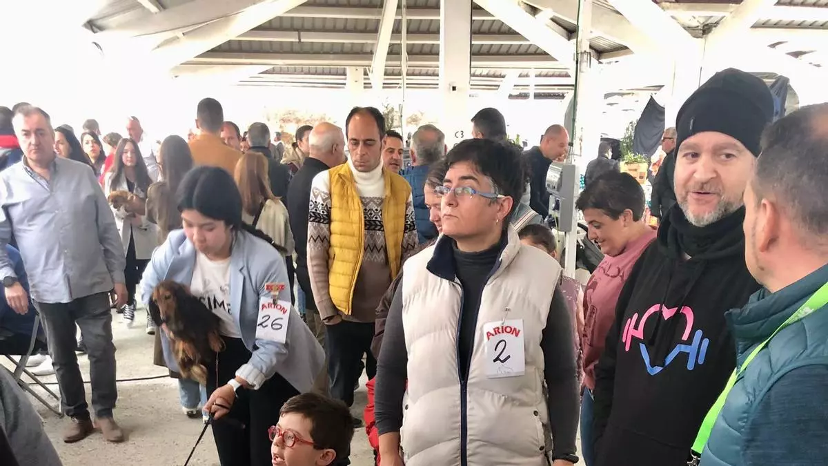 "Rol" y "Emperador" se lucen a lo grande en la Feria del Perro de Tineo