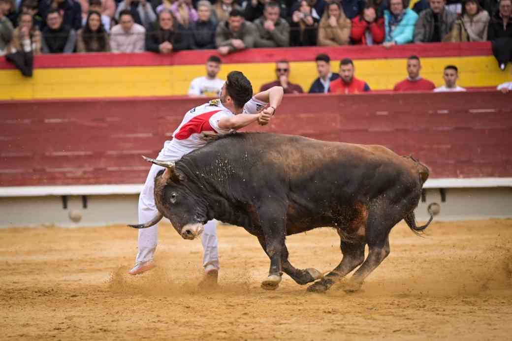 Así ha sido el Concurso Nacional de Recortadores de Castellón