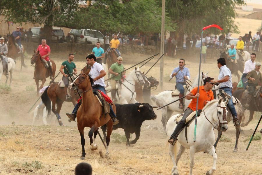 Segundo encierro taurino en Guarrate