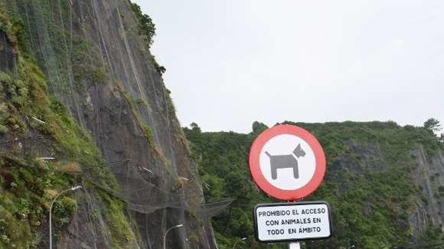La señal que prohíbe el acceso de los perros al paseo de las playas de Luarca.