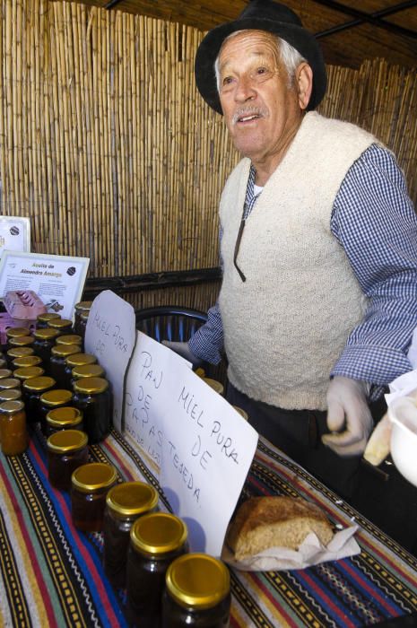 Fiestas del Almendro en Flor en Tejeda