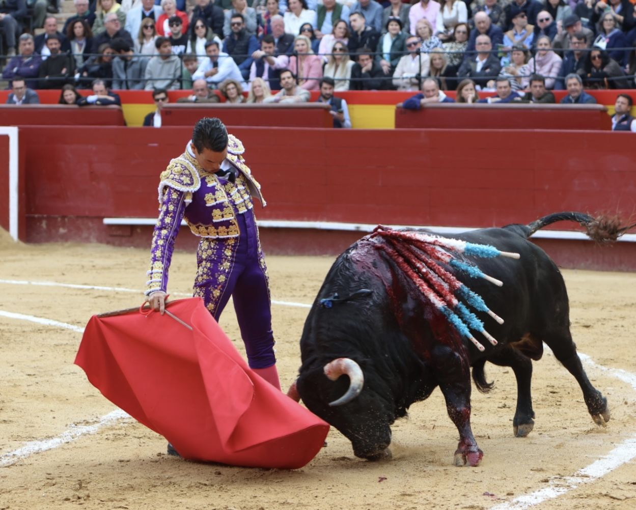 Manzanares arropado por aficionados de Alicante en la Feria de Fallas