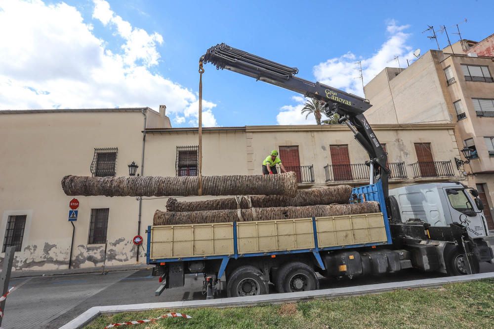 Así ha quedado la plaza de Santa Lucía de Orihuela tras retirar los troncos y tocones de 23 palmeras secas