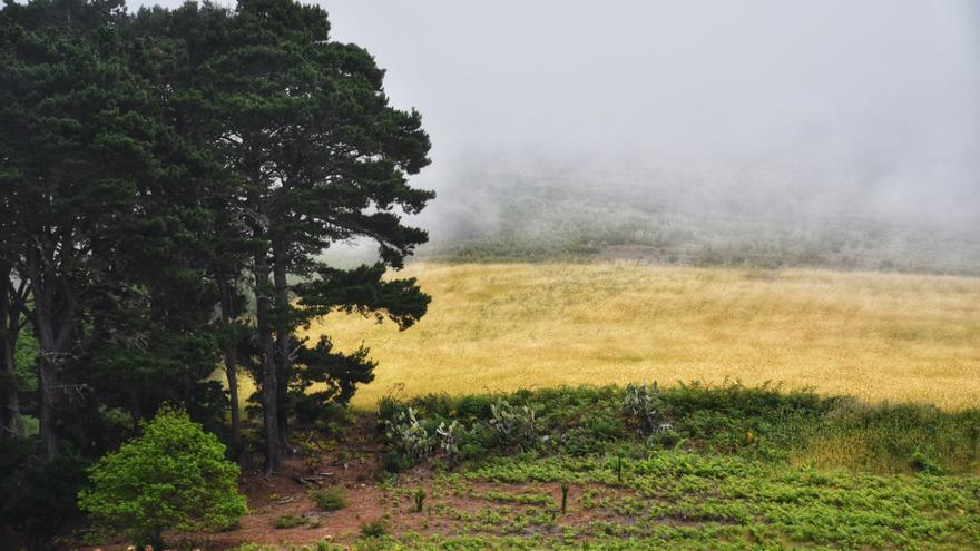 La Aemet &#039;manda&#039; a sacar los paraguas: anuncia lluvias este lunes en Canarias